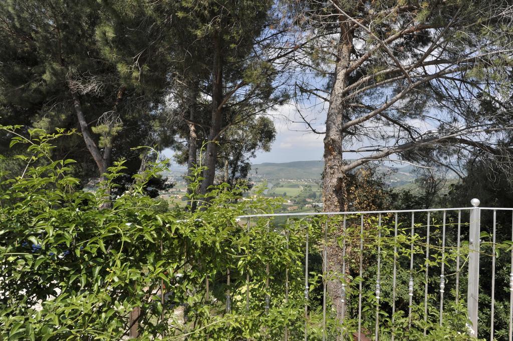 Agriturismo La Grotta San Giuliano Terme Exteriér fotografie