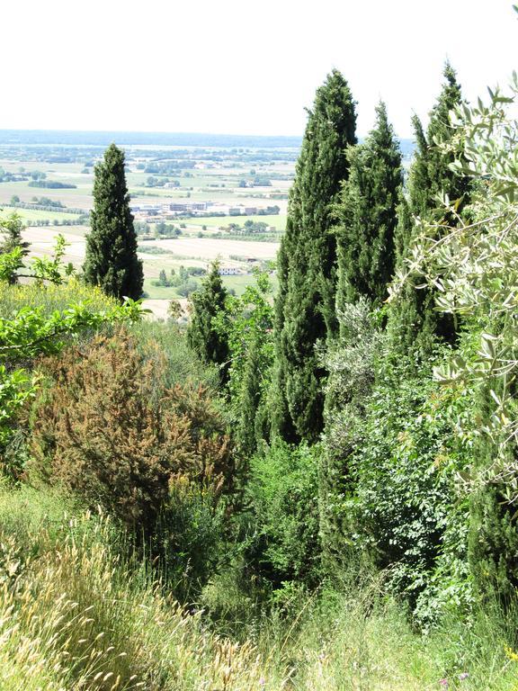 Agriturismo La Grotta San Giuliano Terme Exteriér fotografie
